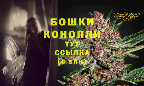 тгк Елабуга