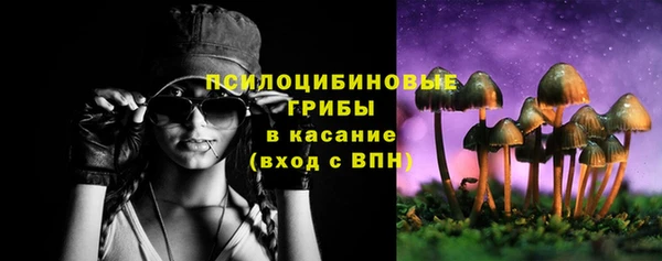 Альфа ПВП Нестеровская
