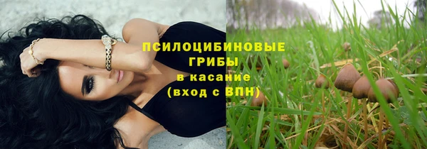 тгк Елабуга