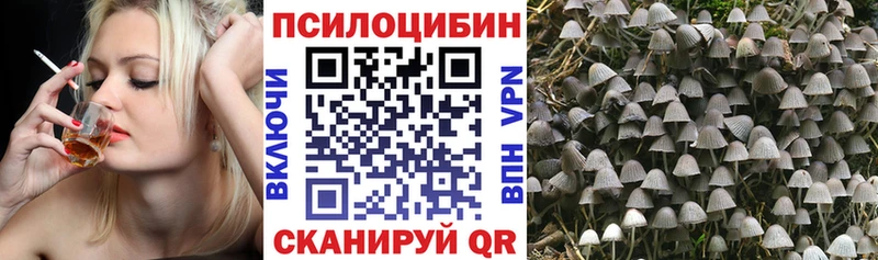 Псилоцибиновые грибы MAGIC MUSHROOMS  закладки  Фатеж 